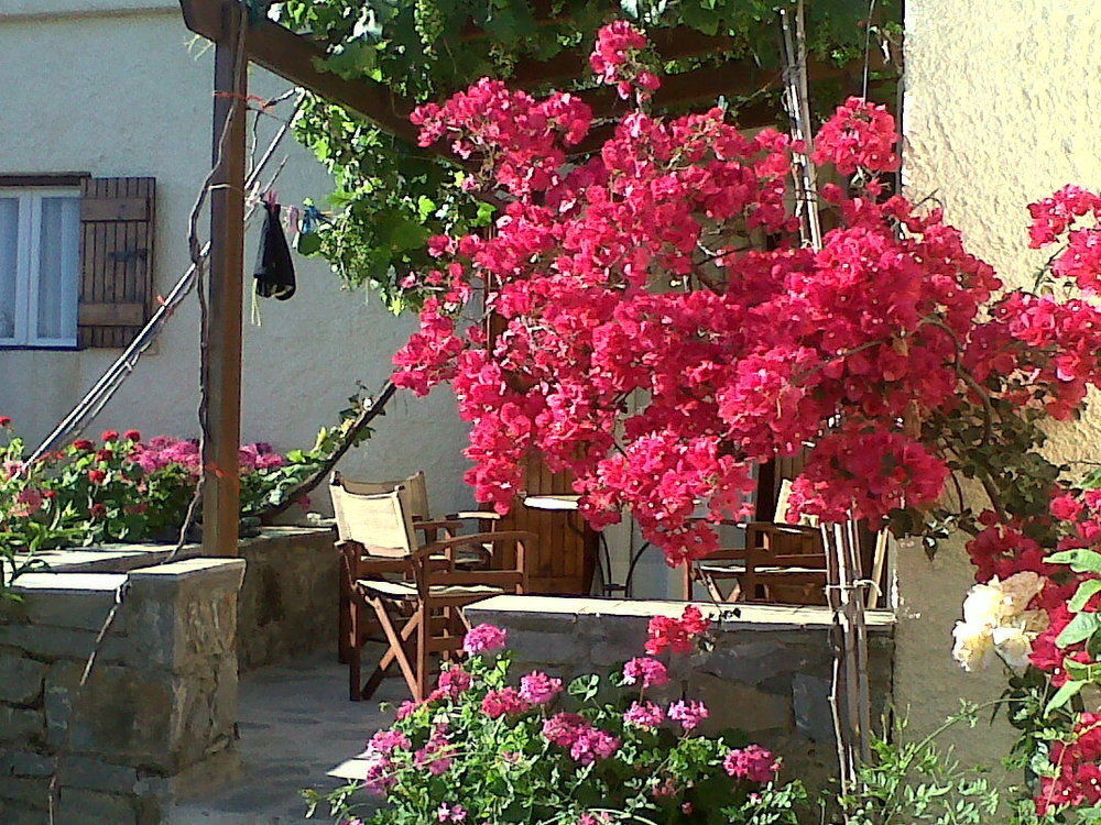 Porto Heli Apartments Palekastro Buitenkant foto